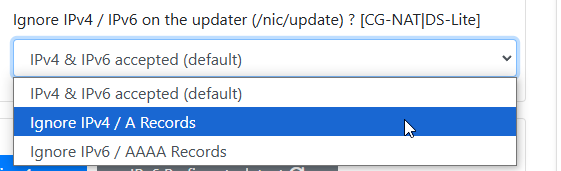Ignor IPv4 DynDNS Records
